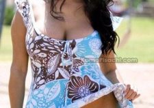 Telugu Actress Aksha Pussy