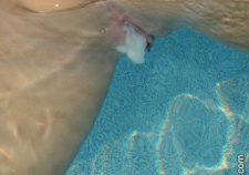 Underwater Creampie