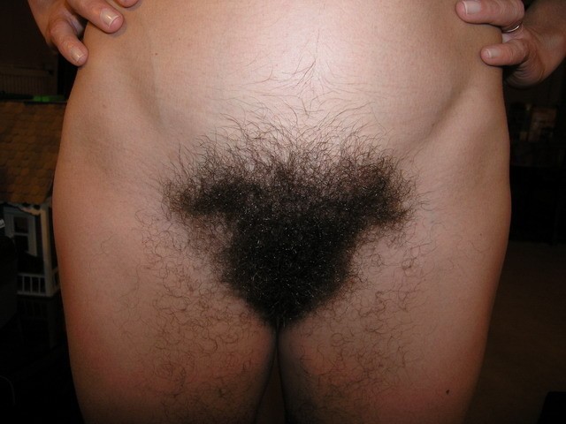 Unshaven Hairy Pussy Triangle Bush Beaver