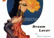 Vintage Gay Pinup Art
