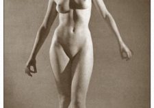 Vintage Shaved Nudes