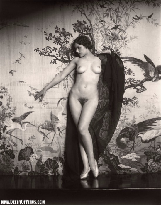 Vintage Ziegfeld Girls Nude