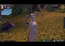 World Of Warcraft In Game Nude Mod