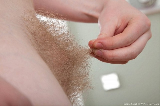 Big Blonde Hairy Bush